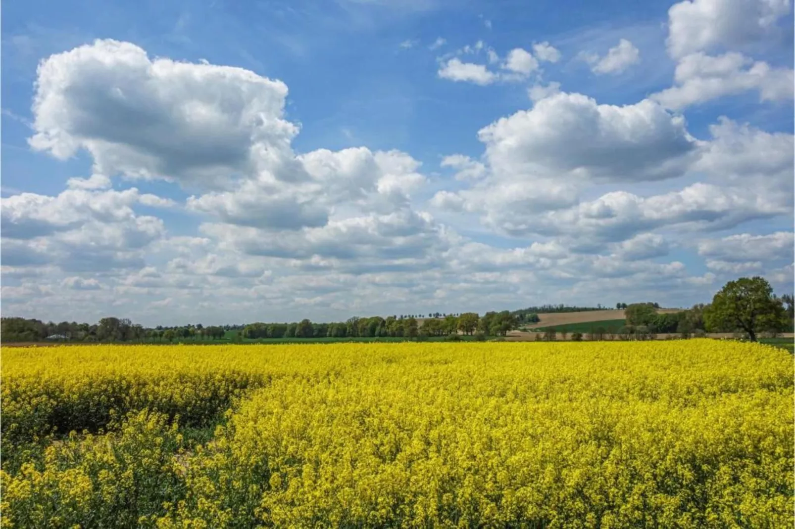 Feriendorf Natur pur 2-Gebieden zomer 20km