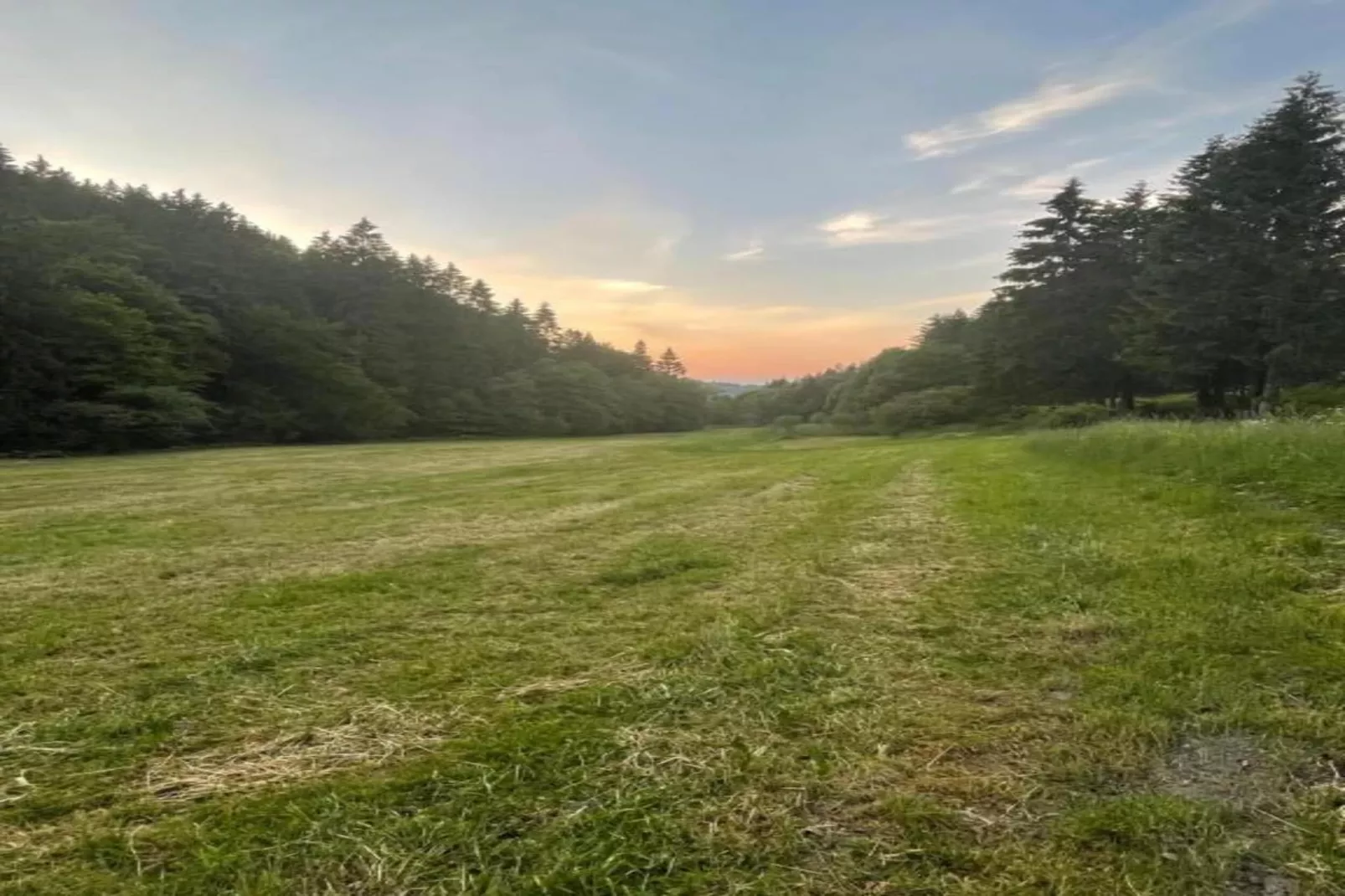 Appartement Willingen-Gebieden zomer 5km