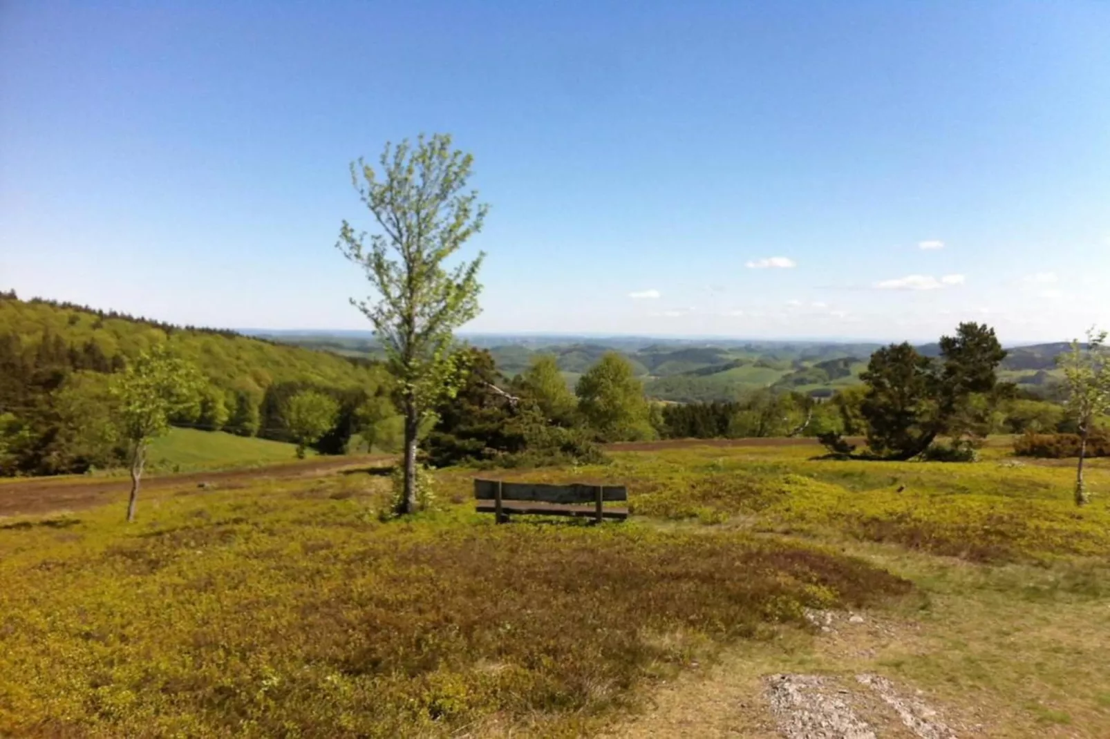 Barbara-Gebieden zomer 5km