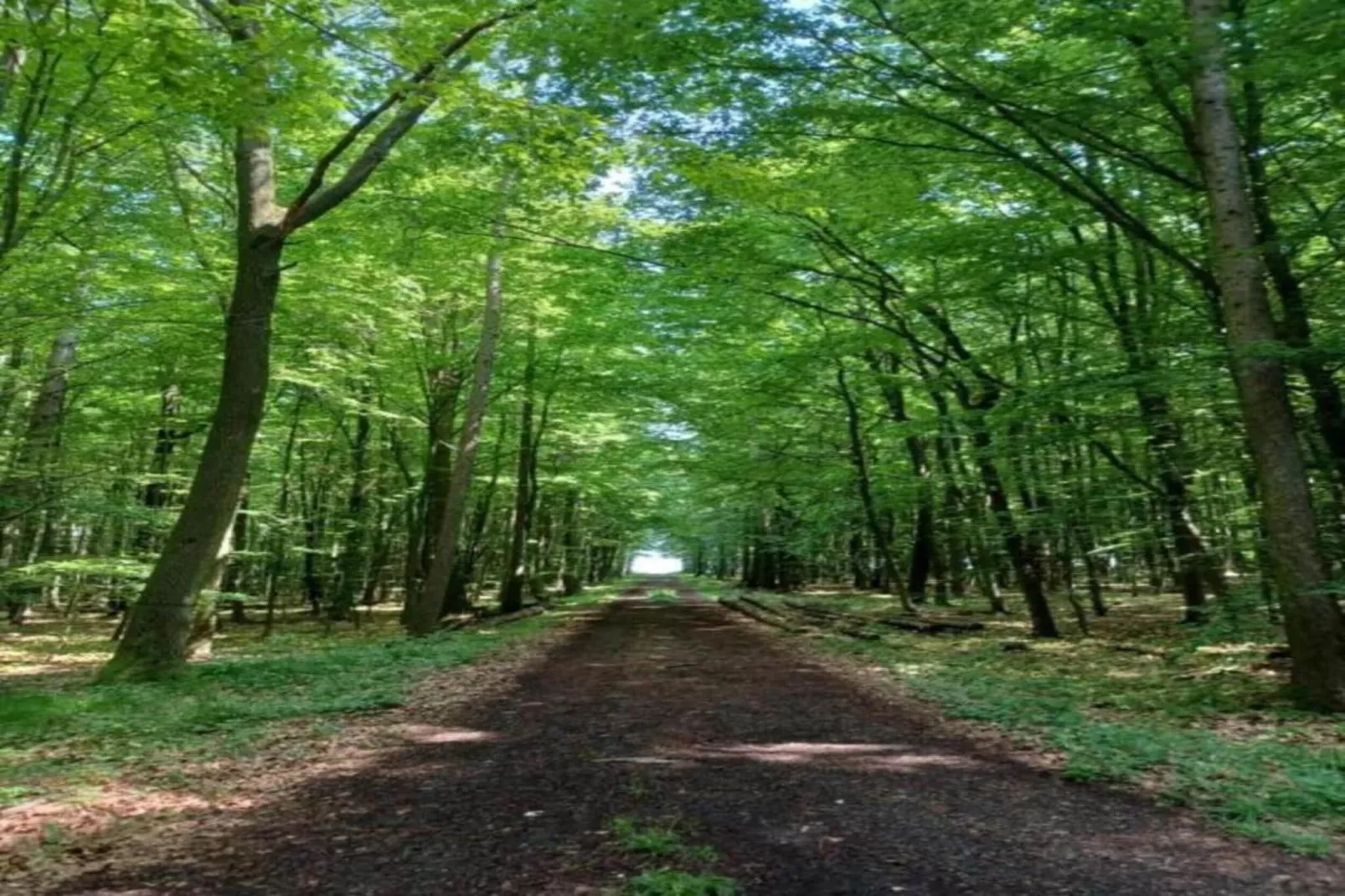 Haus Gisela-Gebieden zomer 20km