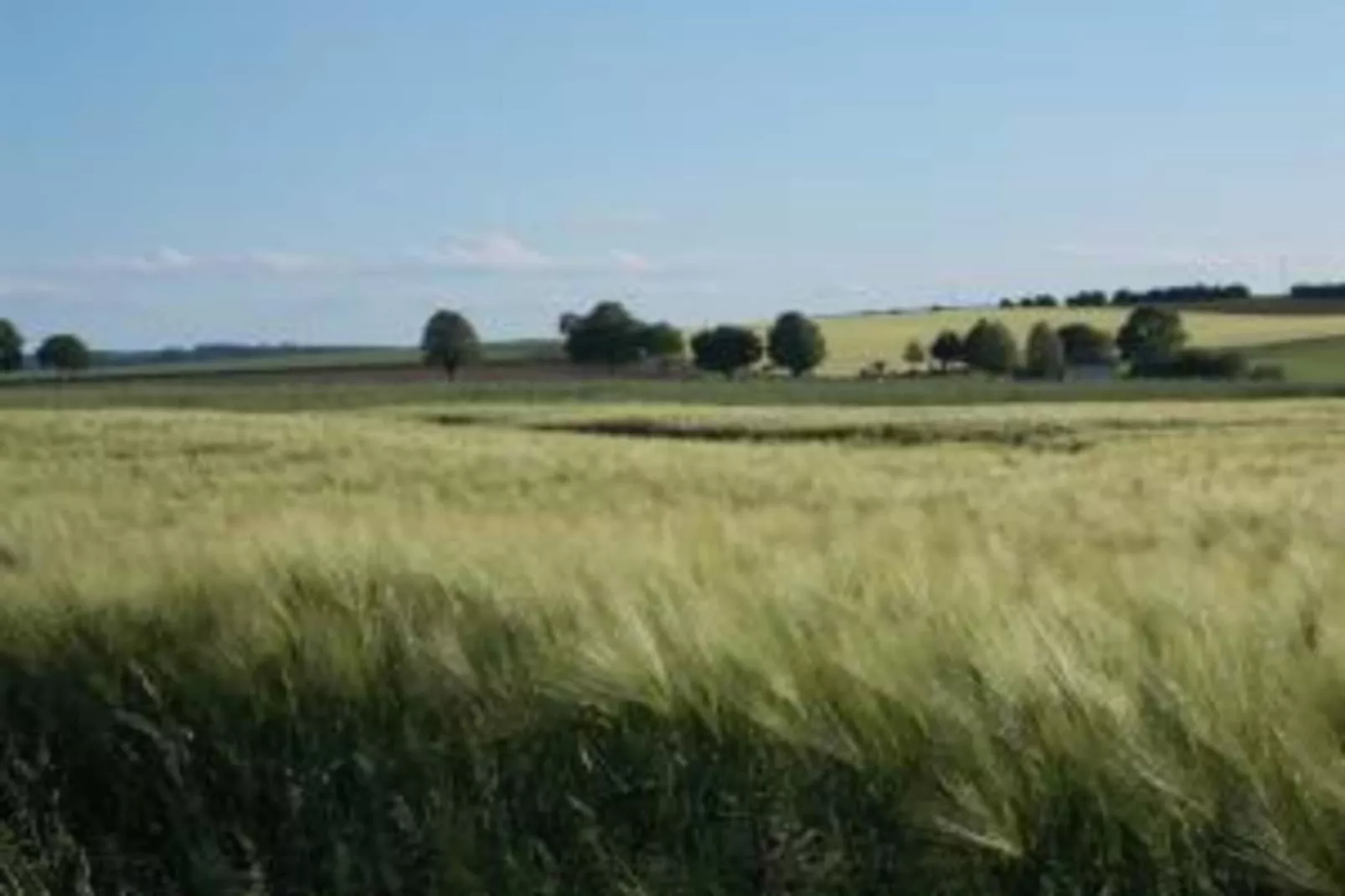 Feriendorf Uslar 2-Gebieden zomer 20km