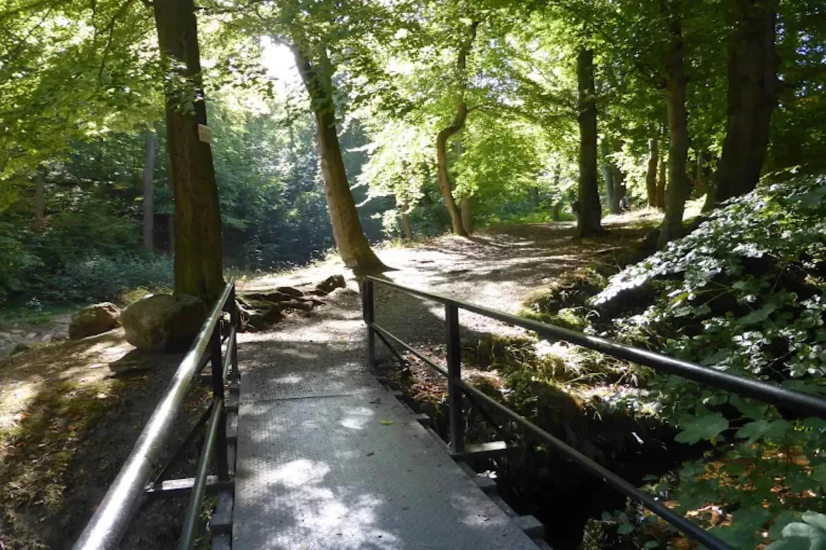 Haus Buchberg-Gebieden zomer 1km
