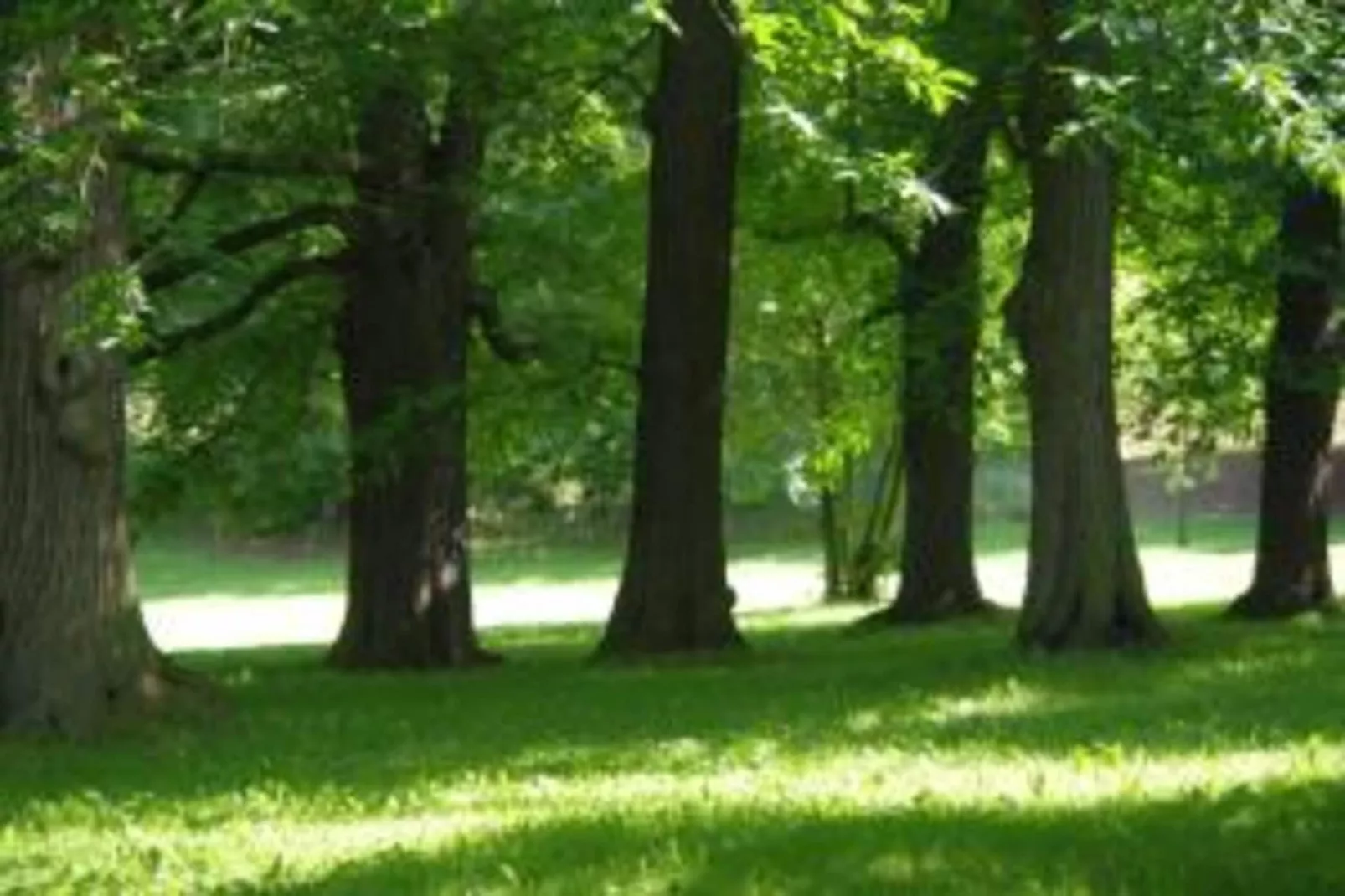 Ferienwohnung Jagdglück-Gebieden zomer 20km