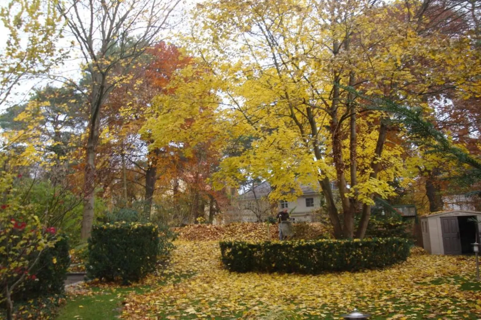 Eifelpark Kronenburger See-Gebieden zomer 20km