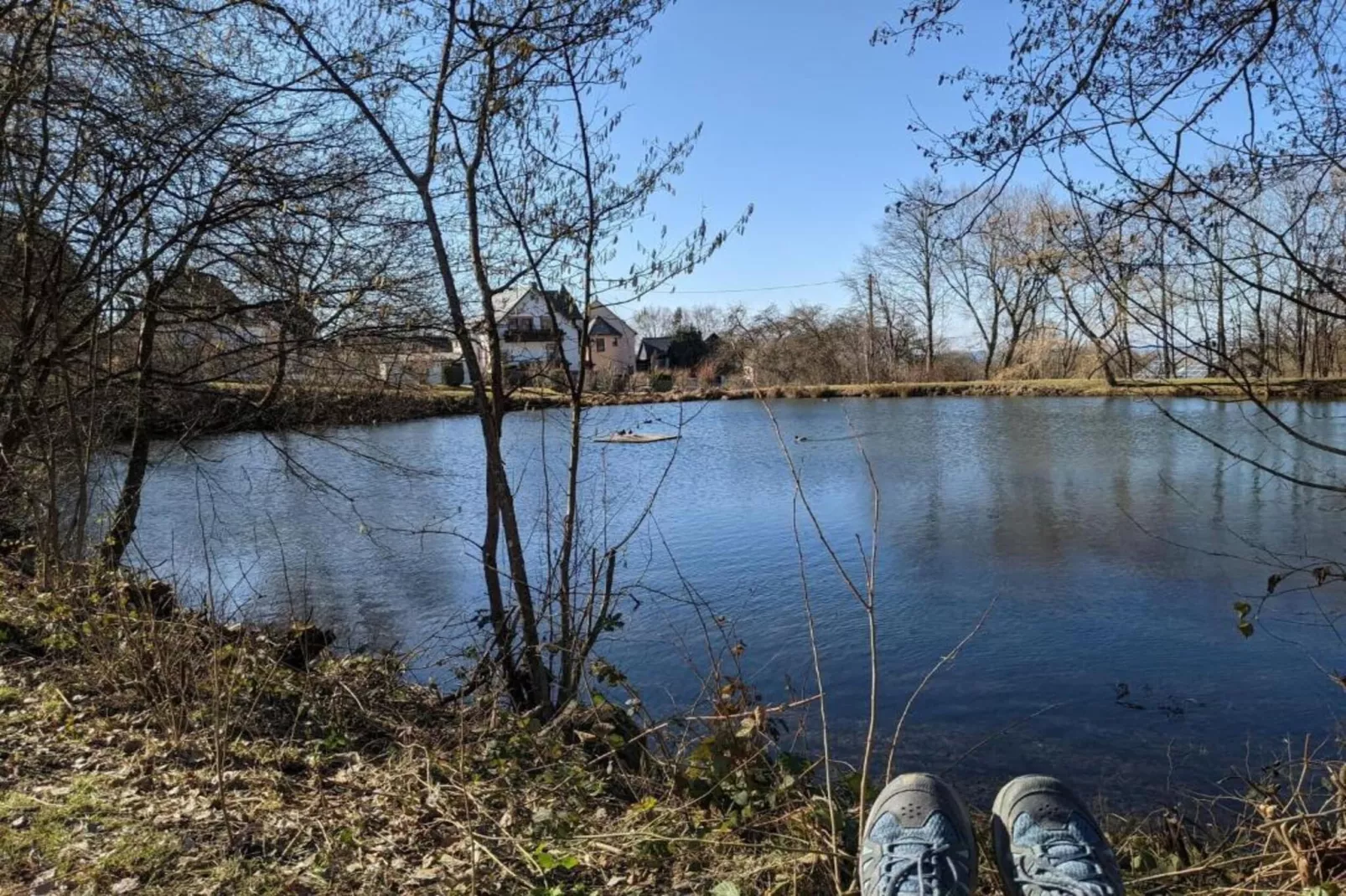 Schwalbennest-Gebieden zomer 5km