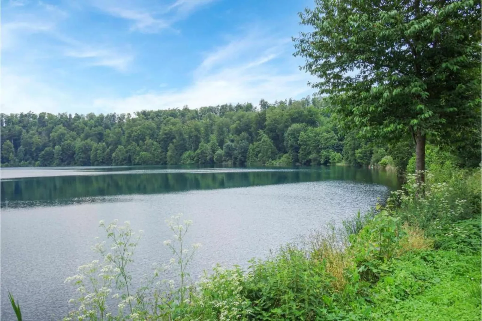 Turm zur Pfaffenley-Gebieden zomer 20km