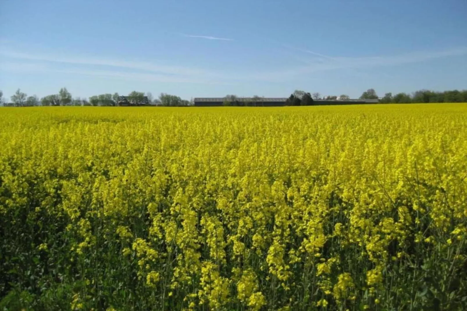 Fichtenhof-Gebieden zomer 20km