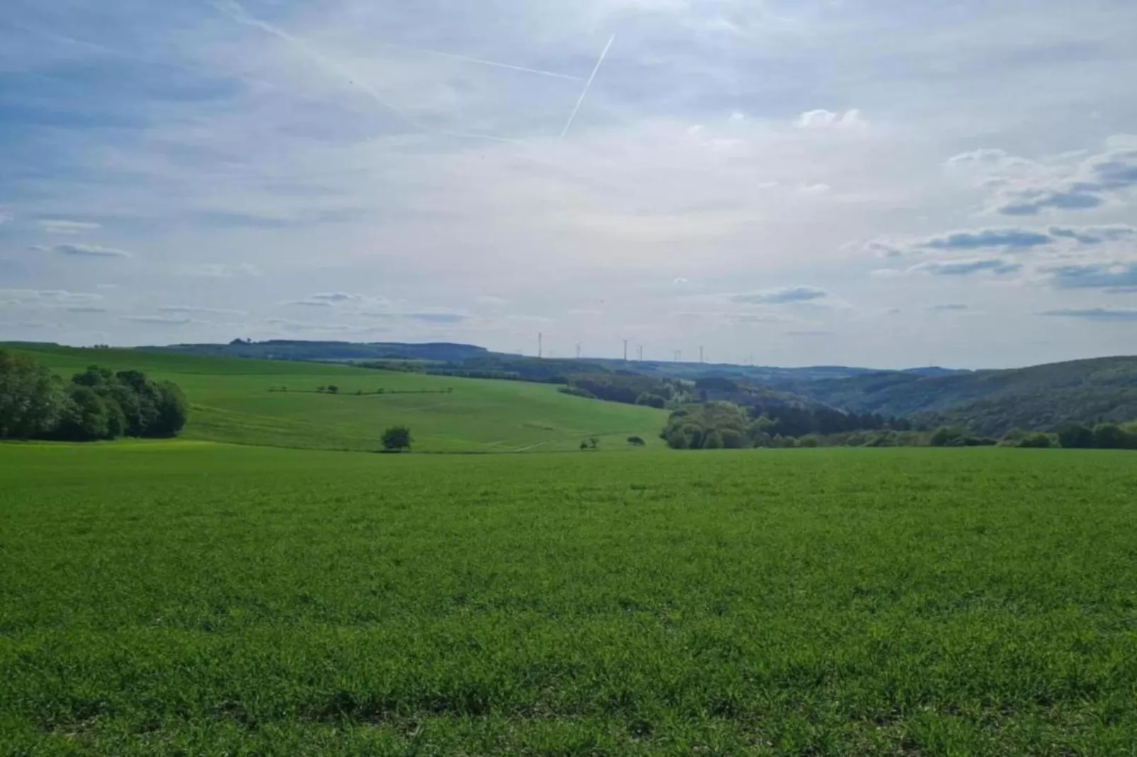Altes Forsthaus-Gebieden zomer 20km