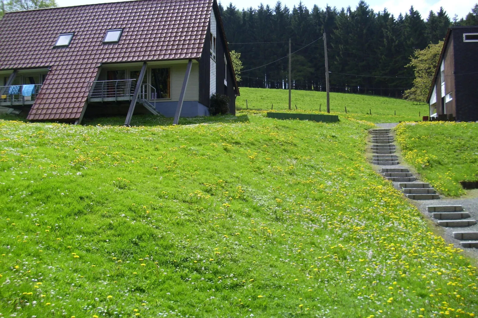 Dachsbau-Buitenkant zomer