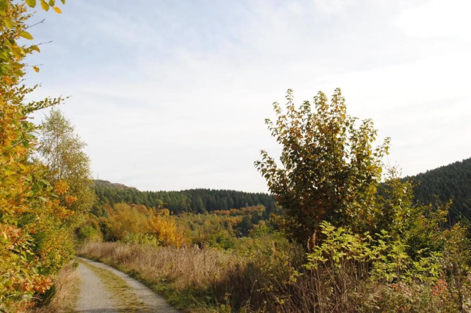 Sauerland-Gebieden zomer 5km