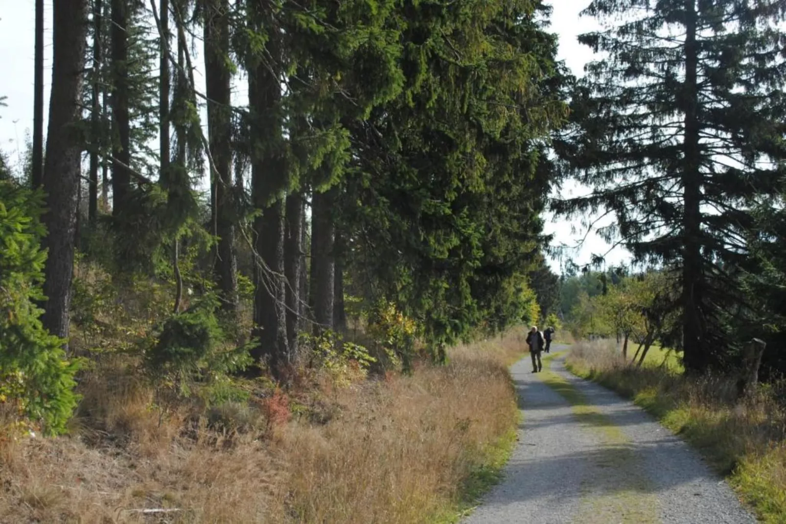 Kramer-Gebieden zomer 5km