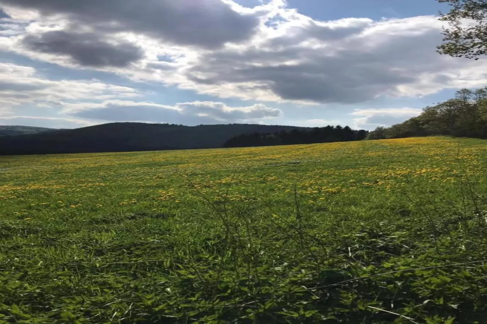 Winterberg-Gebieden zomer 5km