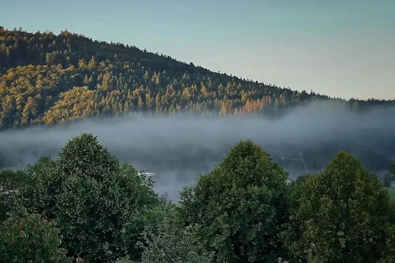 Buchenweg 13 - Kappenblick-Gebieden zomer 5km