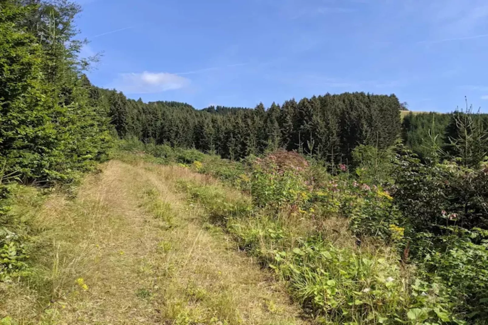 Neuastenberger Straße 4 - Neuastenberg-Gebieden zomer 1km