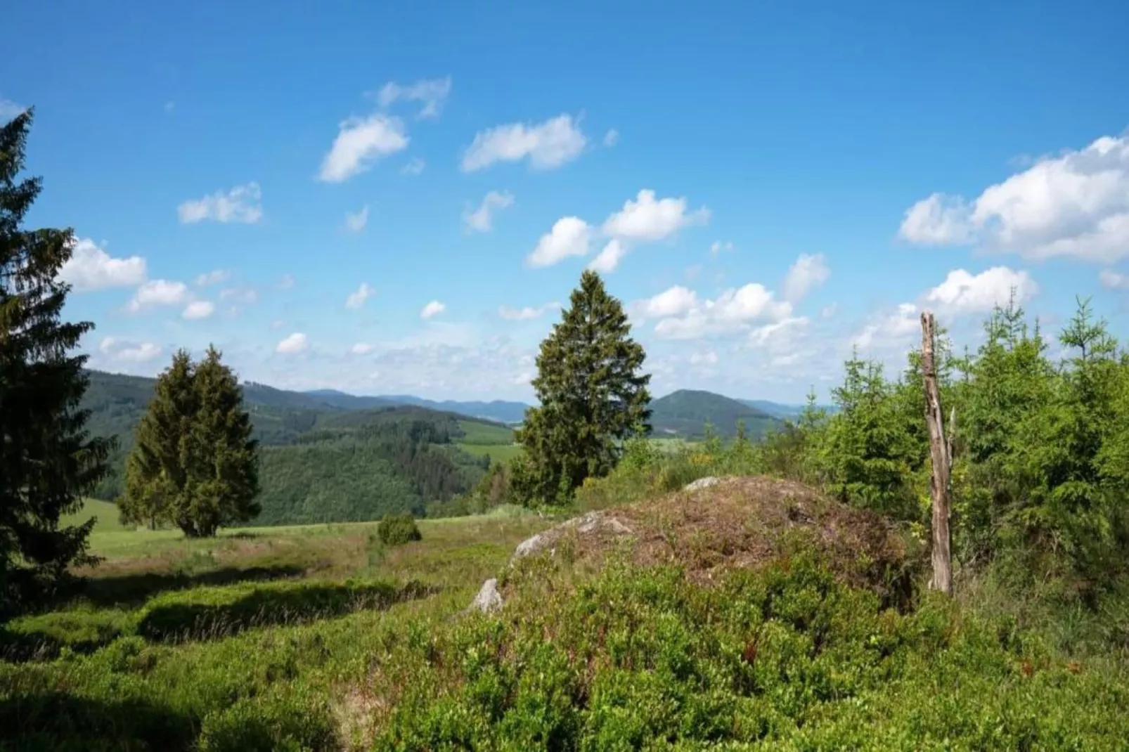 Küstelberg-Gebieden zomer 5km