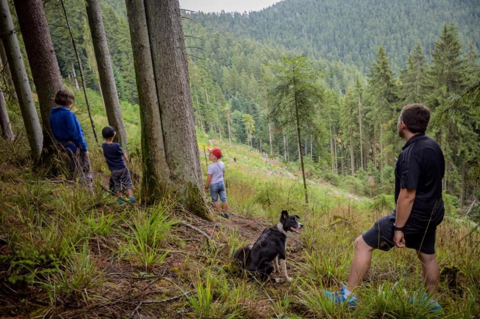 Schwarzwald Marie-Gebieden zomer 20km