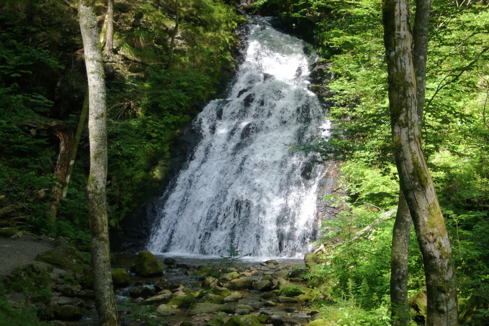 Schwarzwald-Gebieden zomer 1km