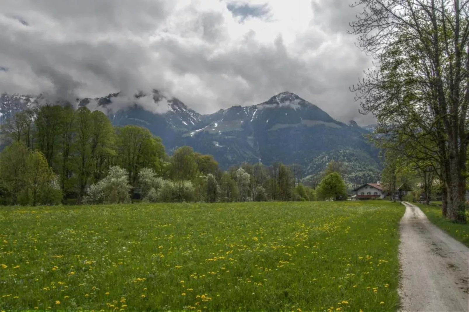 Im Chiemgau-Gebieden zomer 20km