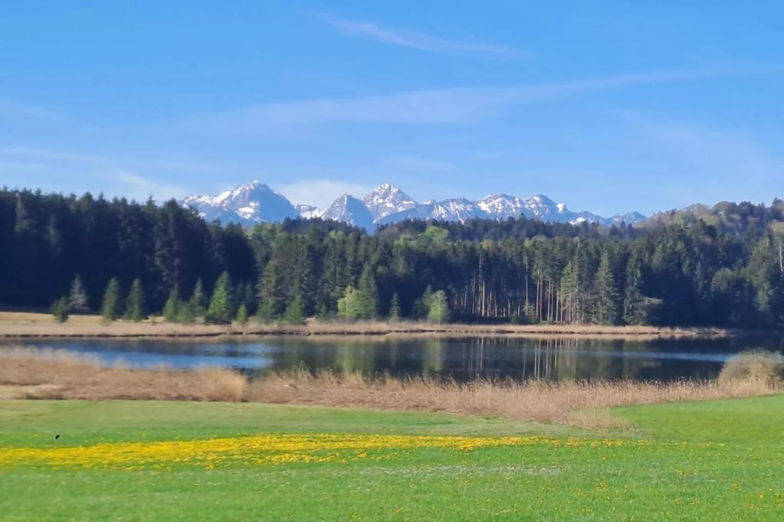 Trauchgau-Gebieden zomer 5km
