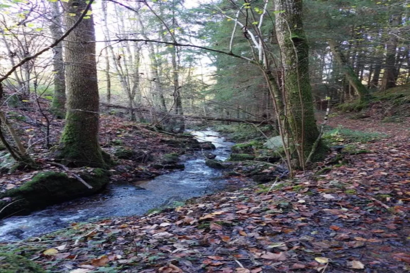 Am Bodensee-Gebieden zomer 20km