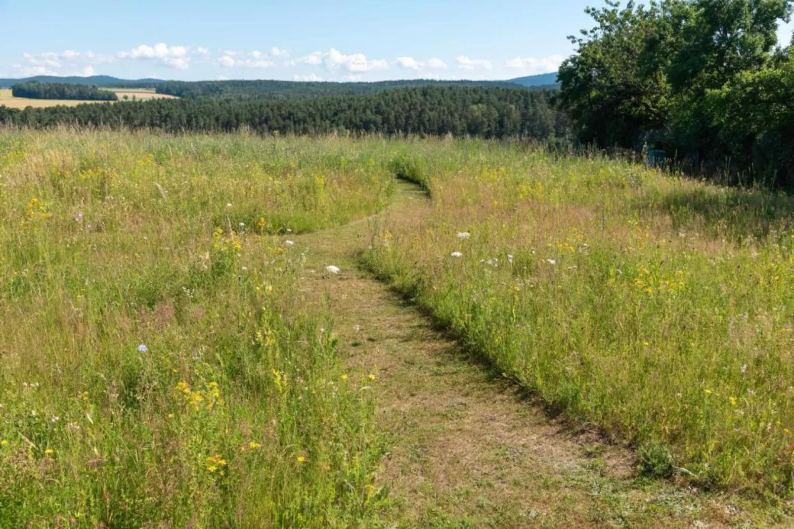 Bodenwöhr-Gebieden zomer 5km