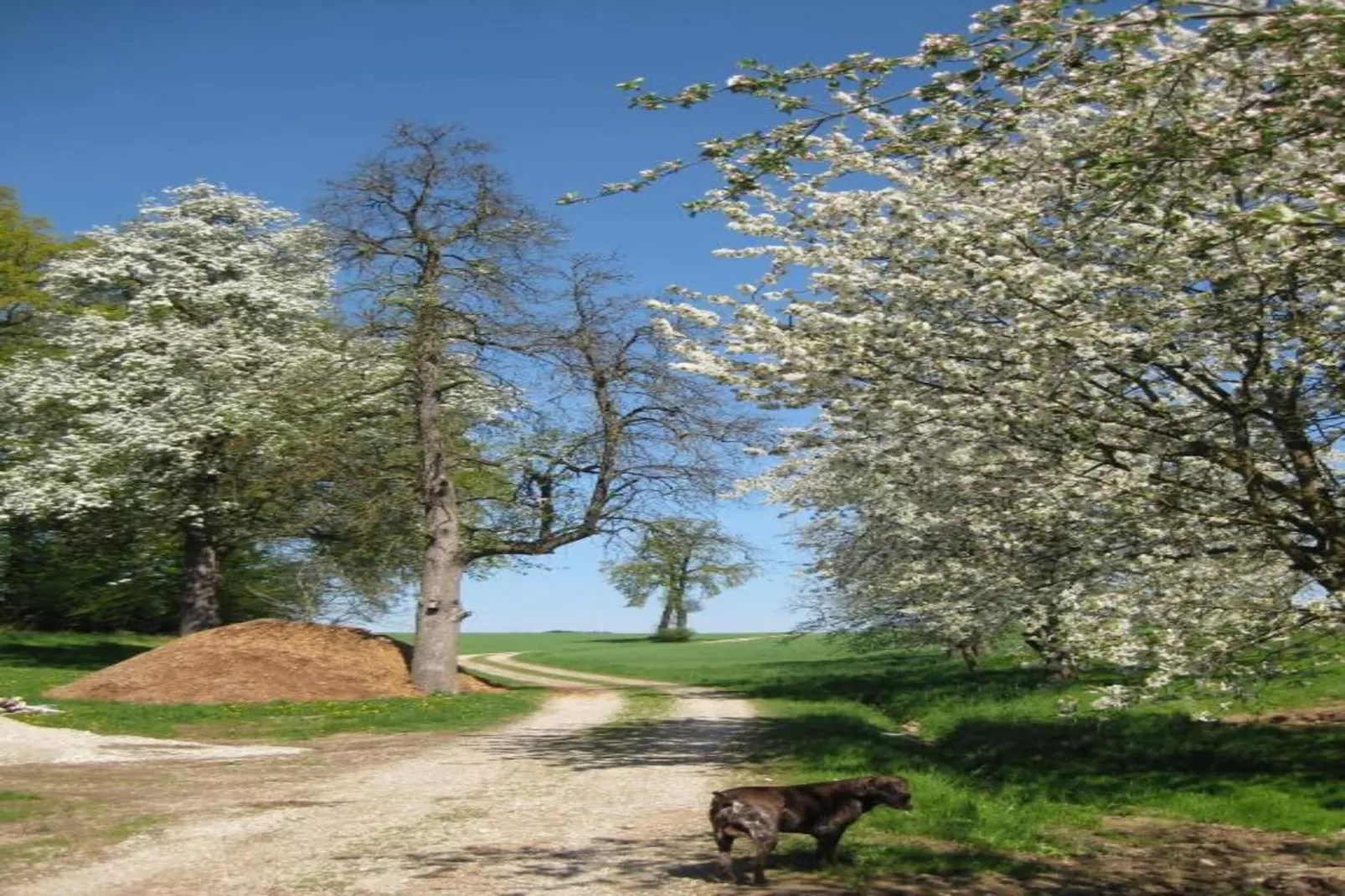 Am Ferienhof-Gebieden zomer 20km