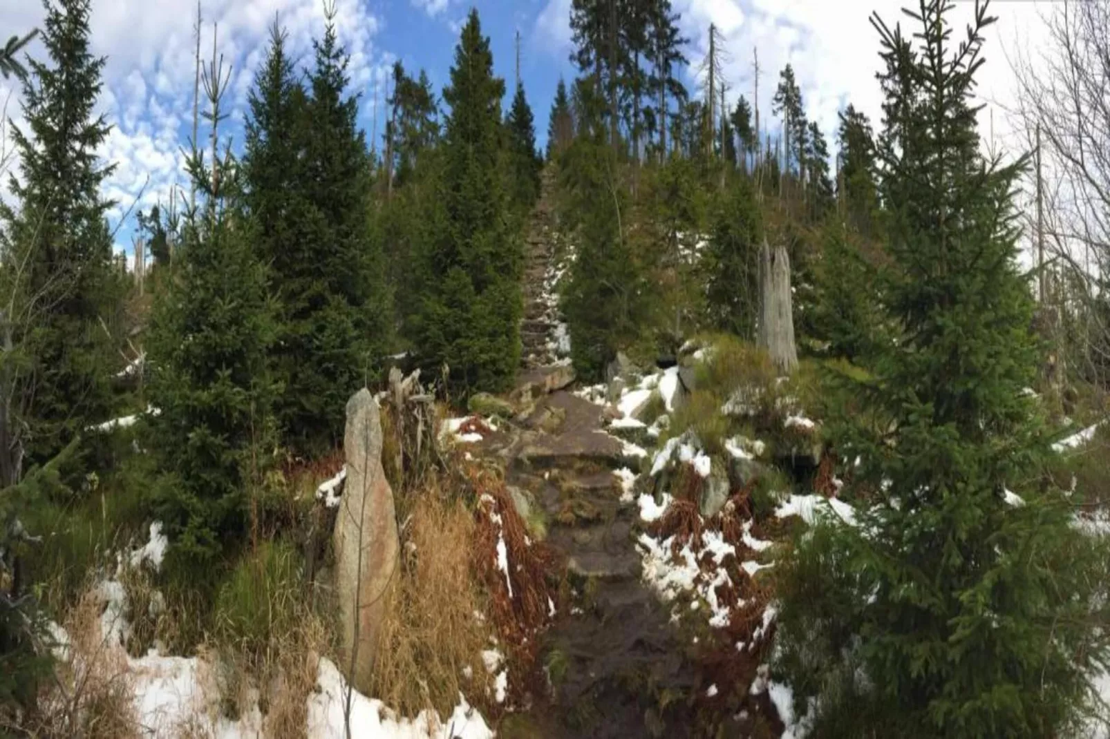 Im Bayerischen Wald-Gebieden zomer 20km
