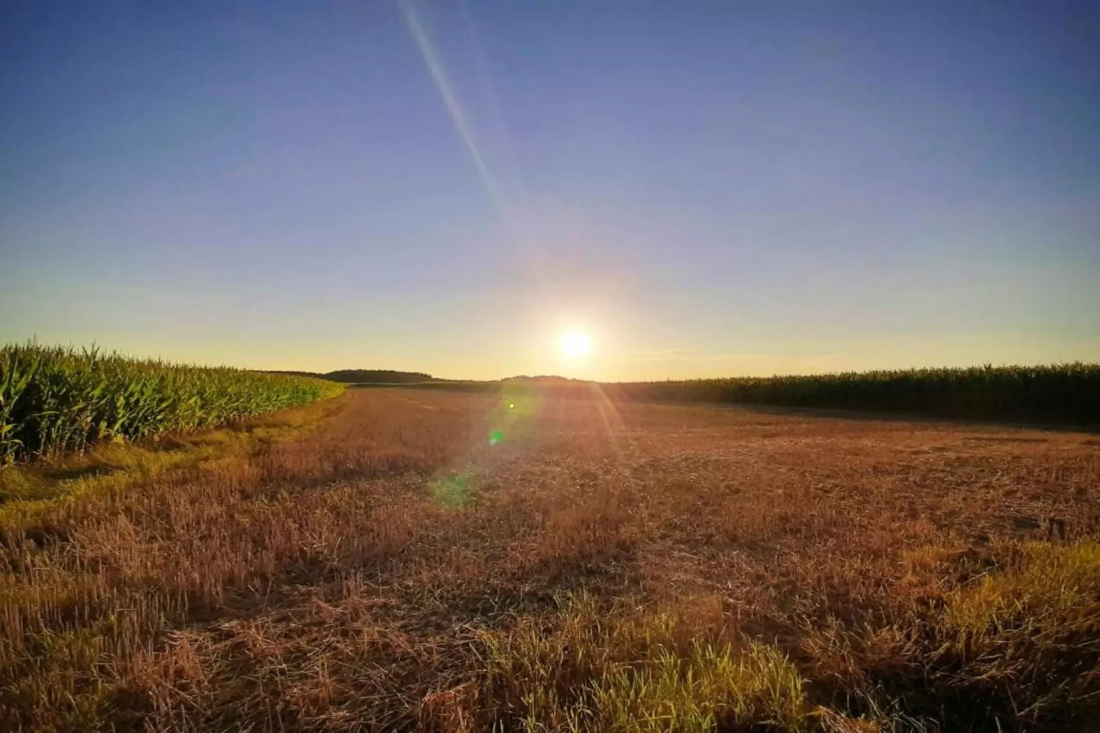 Wildrose-Gebieden zomer 20km