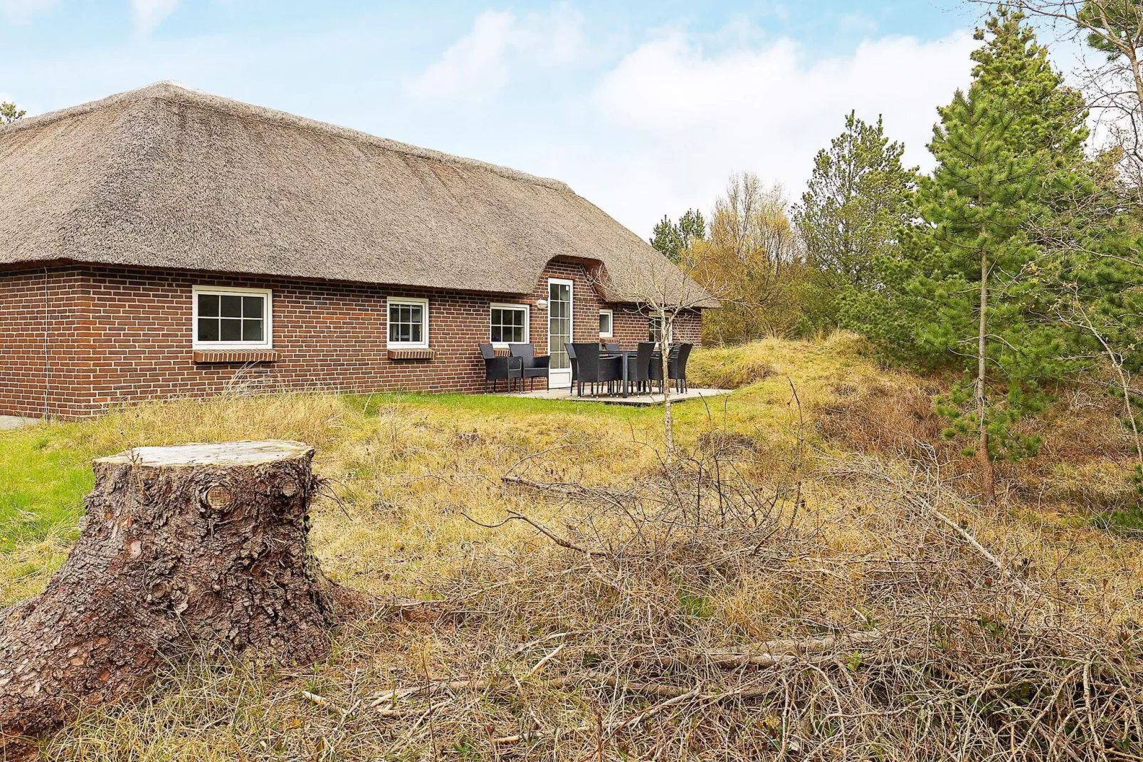 Luxe vakantiehuis in Blåvand met zwembad-Uitzicht