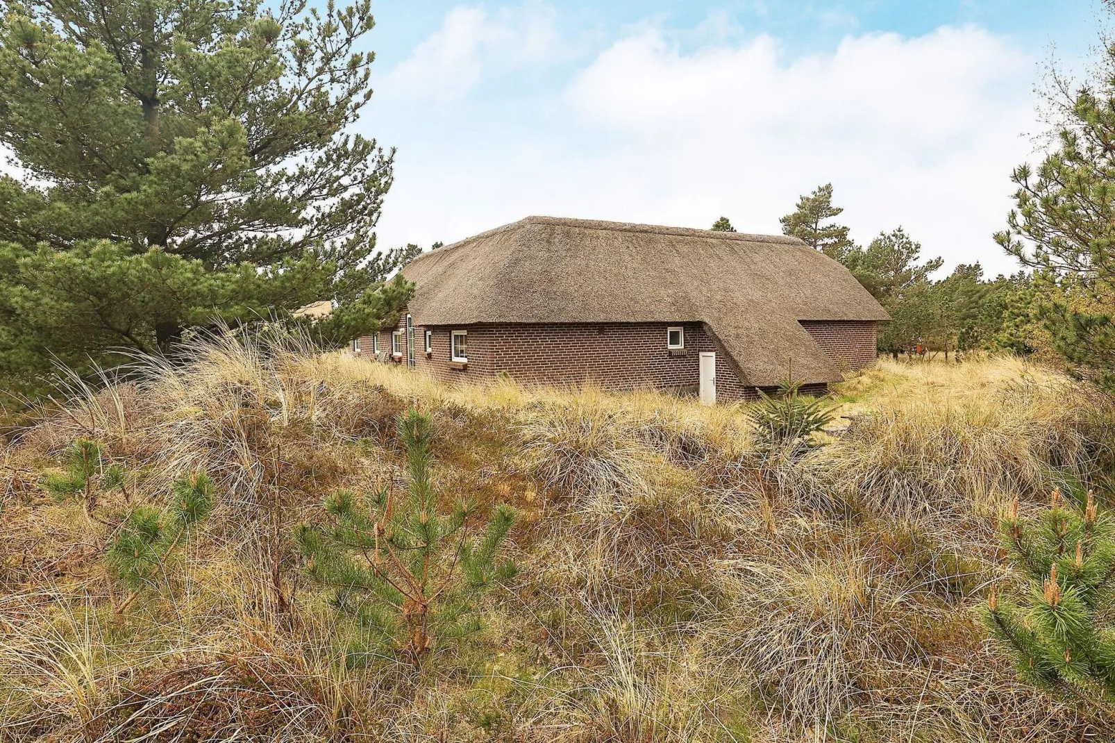 Luxe vakantiehuis in Blåvand met zwembad-Uitzicht