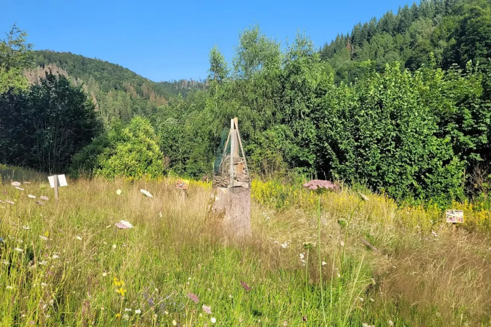 Ferienhaus in Wieda-Gebieden zomer 5km