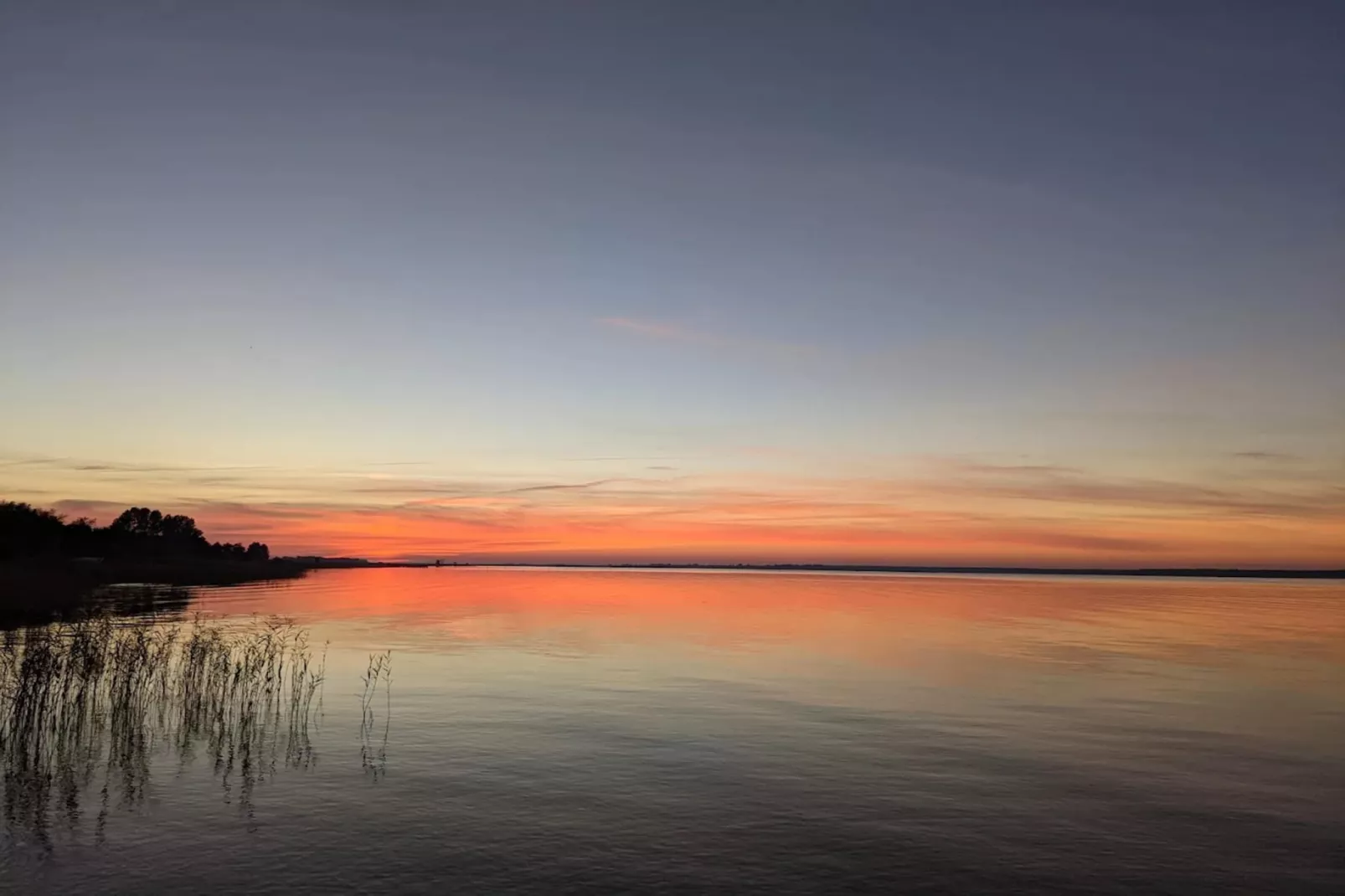 Schilfrohrsänger 51-Gebieden zomer 1km