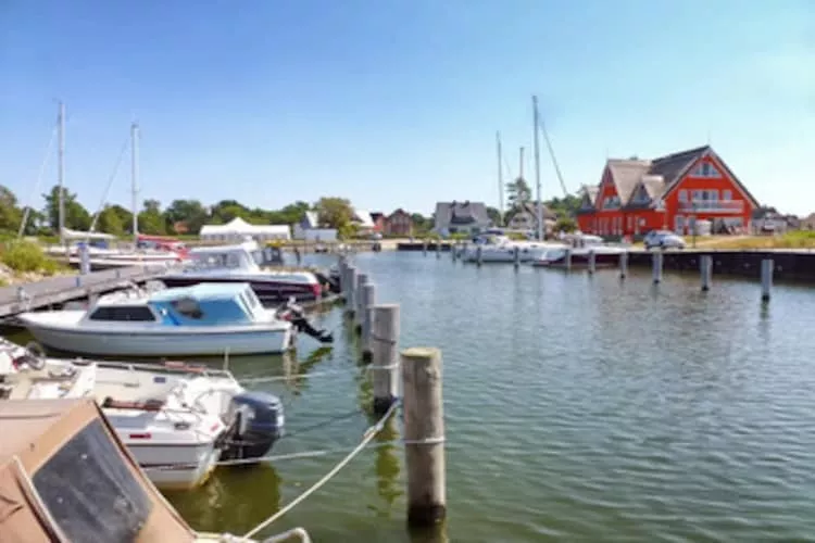 Ferienhaus Lotsenhaus Vieregge-Gebieden zomer 1km