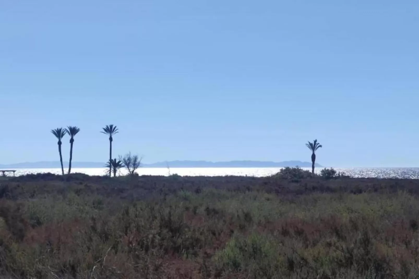 Los Olivos-Gebieden zomer 5km
