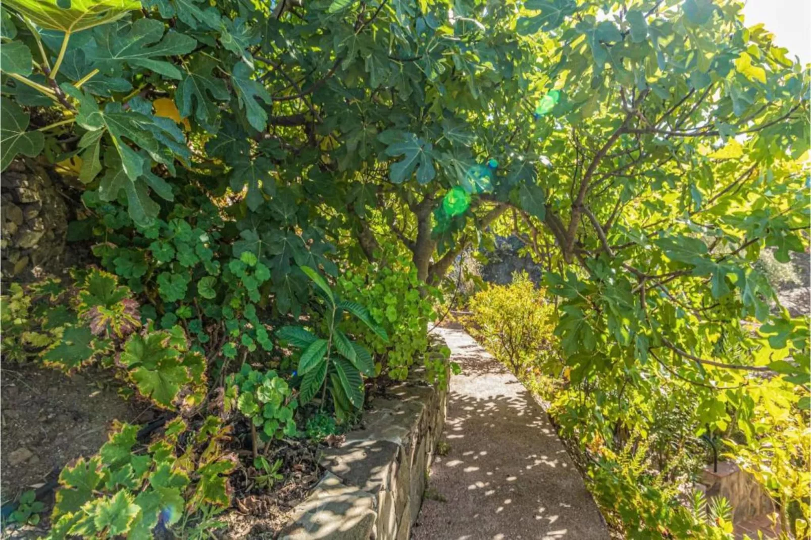 Cortijo las Monjas-Gebieden zomer 20km