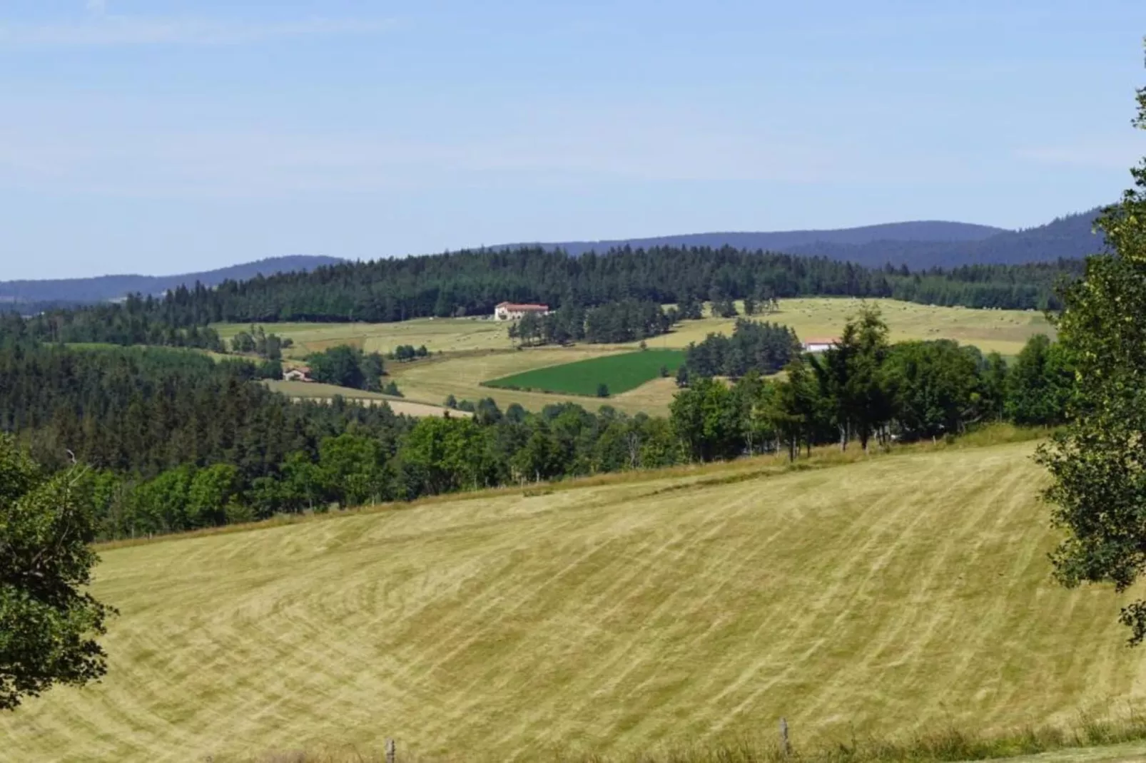 Maison de vacances - St Pierre Sur Doux-Gebieden zomer 20km
