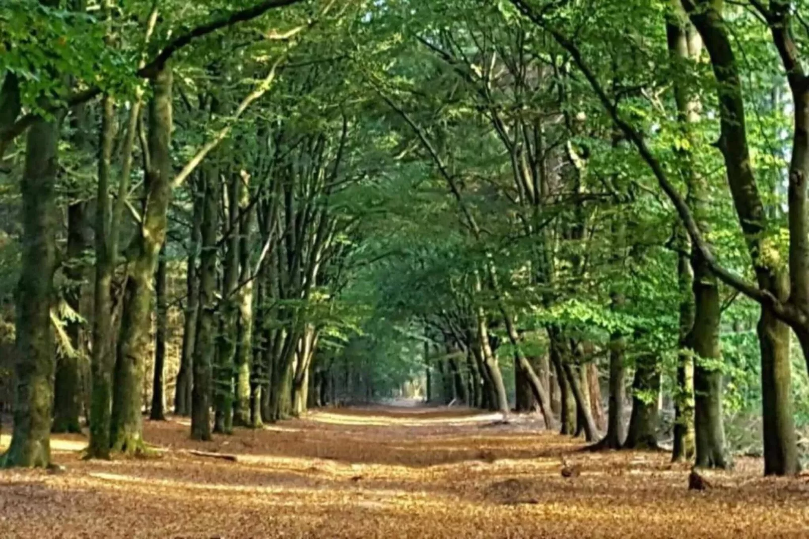 Shangri-La 1-Gebieden zomer 20km