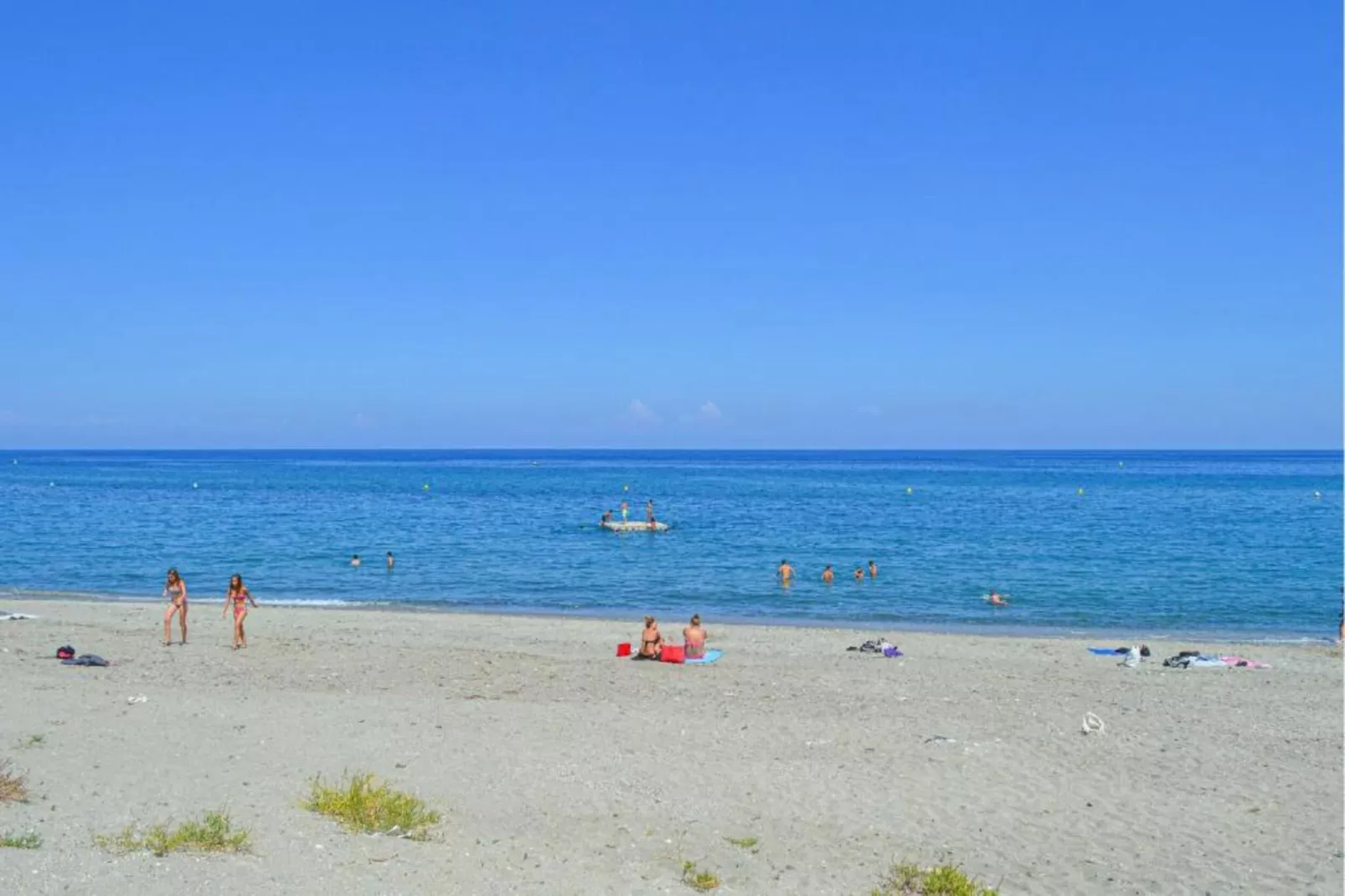 Indigo-Gebieden zomer 1km