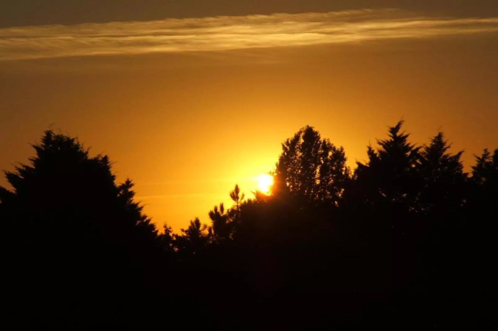 Maison de vacances Les Eyzies de Tayac-Gebieden zomer 20km