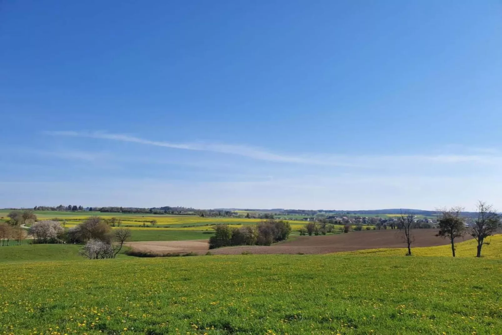 Gîte de la Pomme d’Happy - Abbévillers-Gebieden zomer 20km