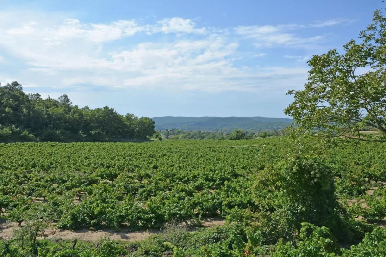 L'Oliveraie-Gebieden zomer 5km