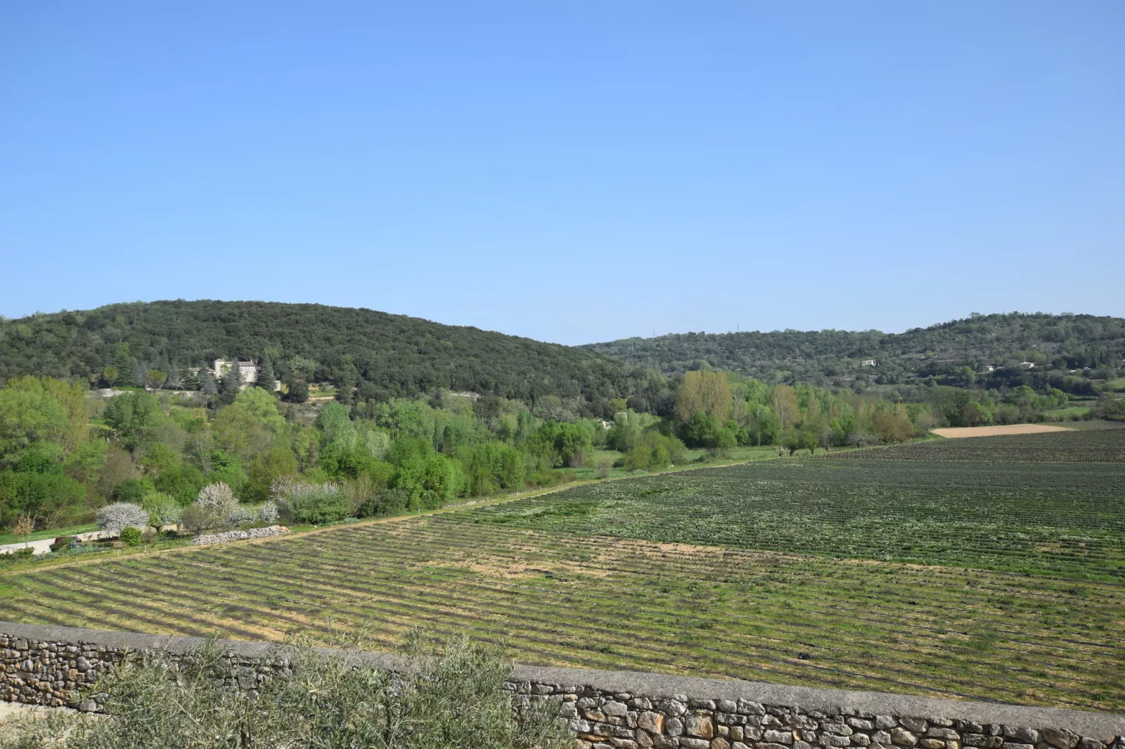 La Bise-Uitzicht zomer