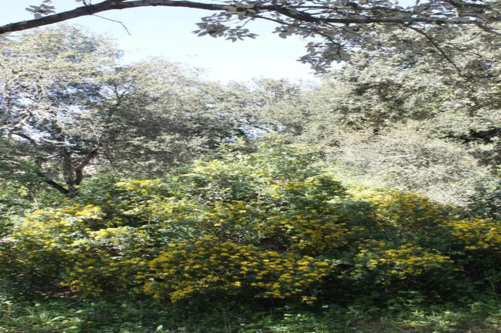 Grande Villa Vue Panoramique-Gebieden zomer 20km