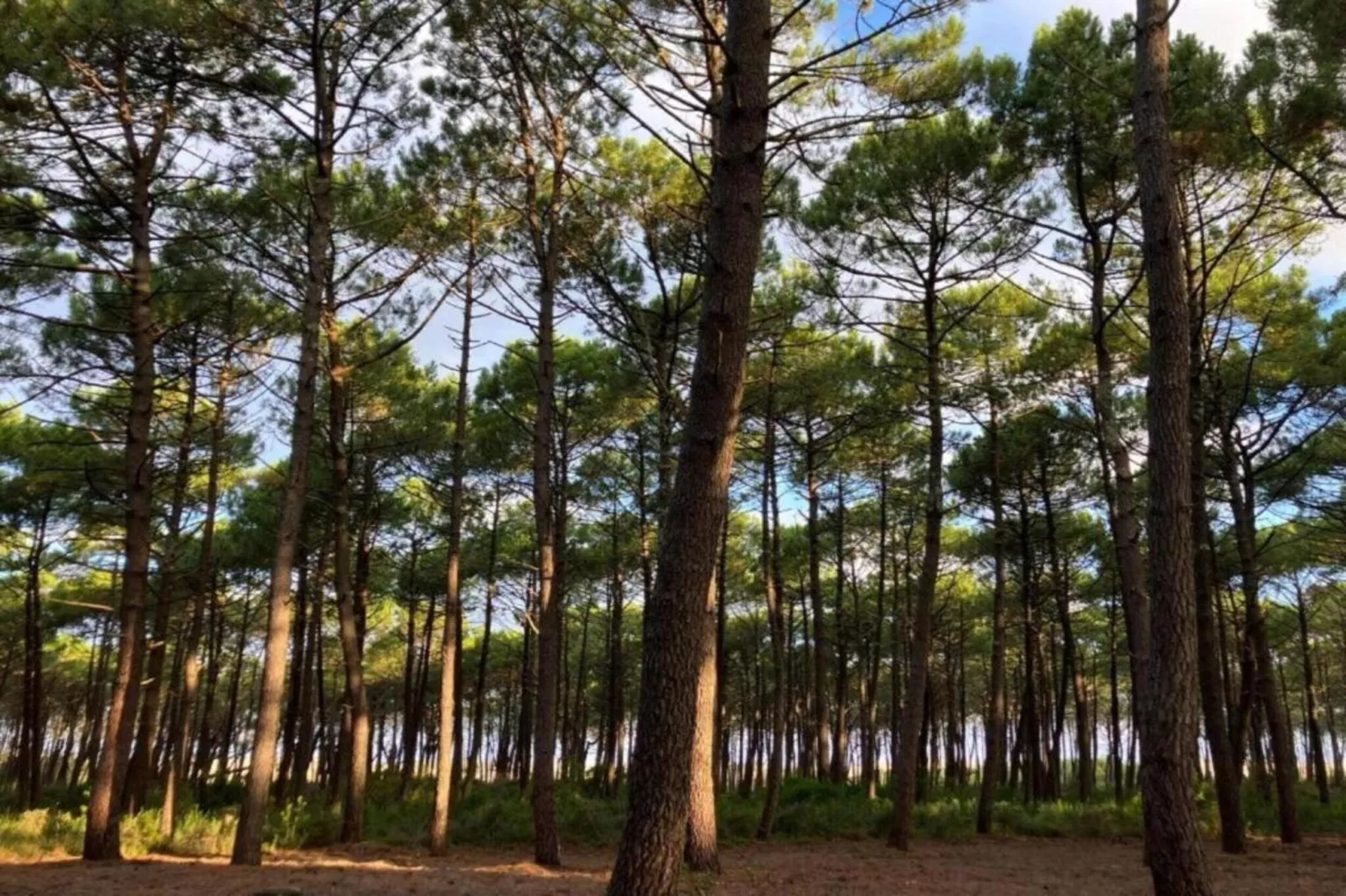 Le Domaine des Grands Lacs 1-Gebieden zomer 5km