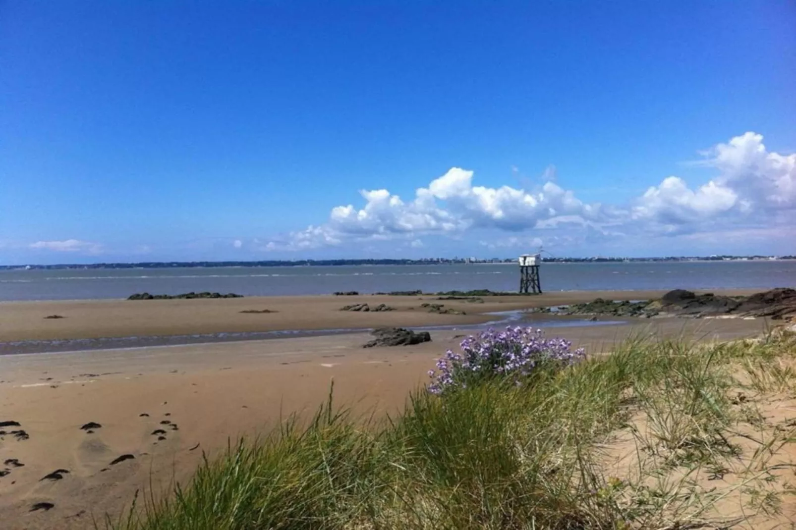 Résidence le Domaine de L'Océan 1-Gebieden zomer 20km