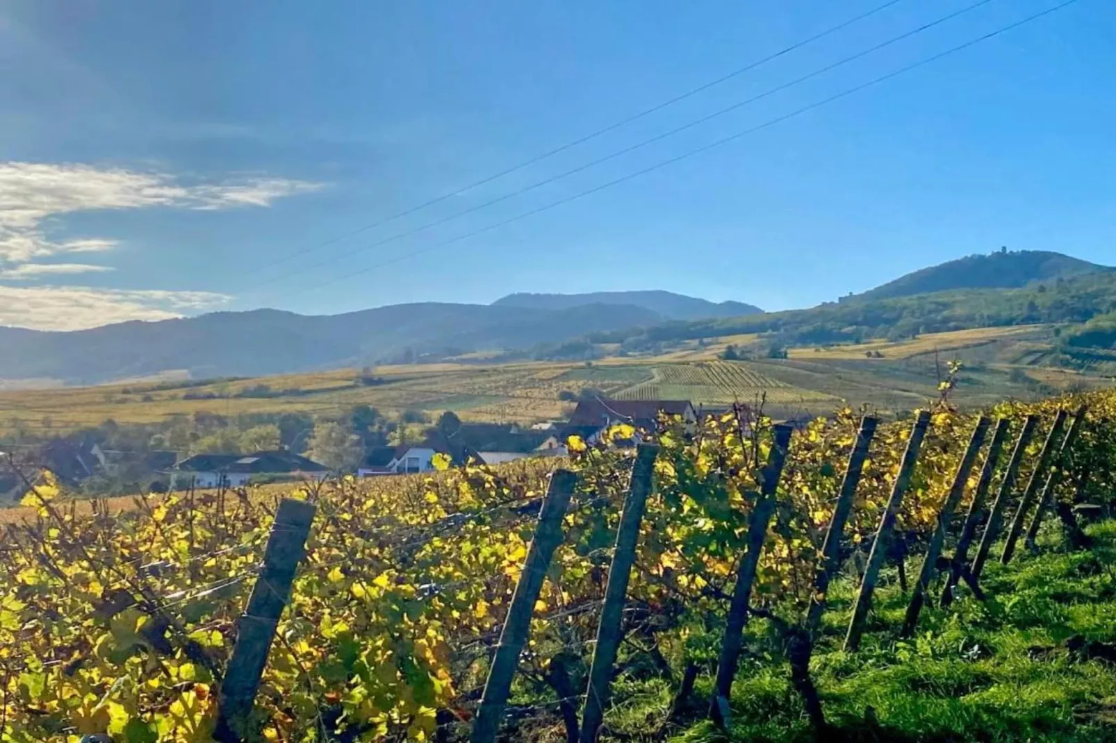 Le Domaine des Rois 1-Gebieden zomer 5km