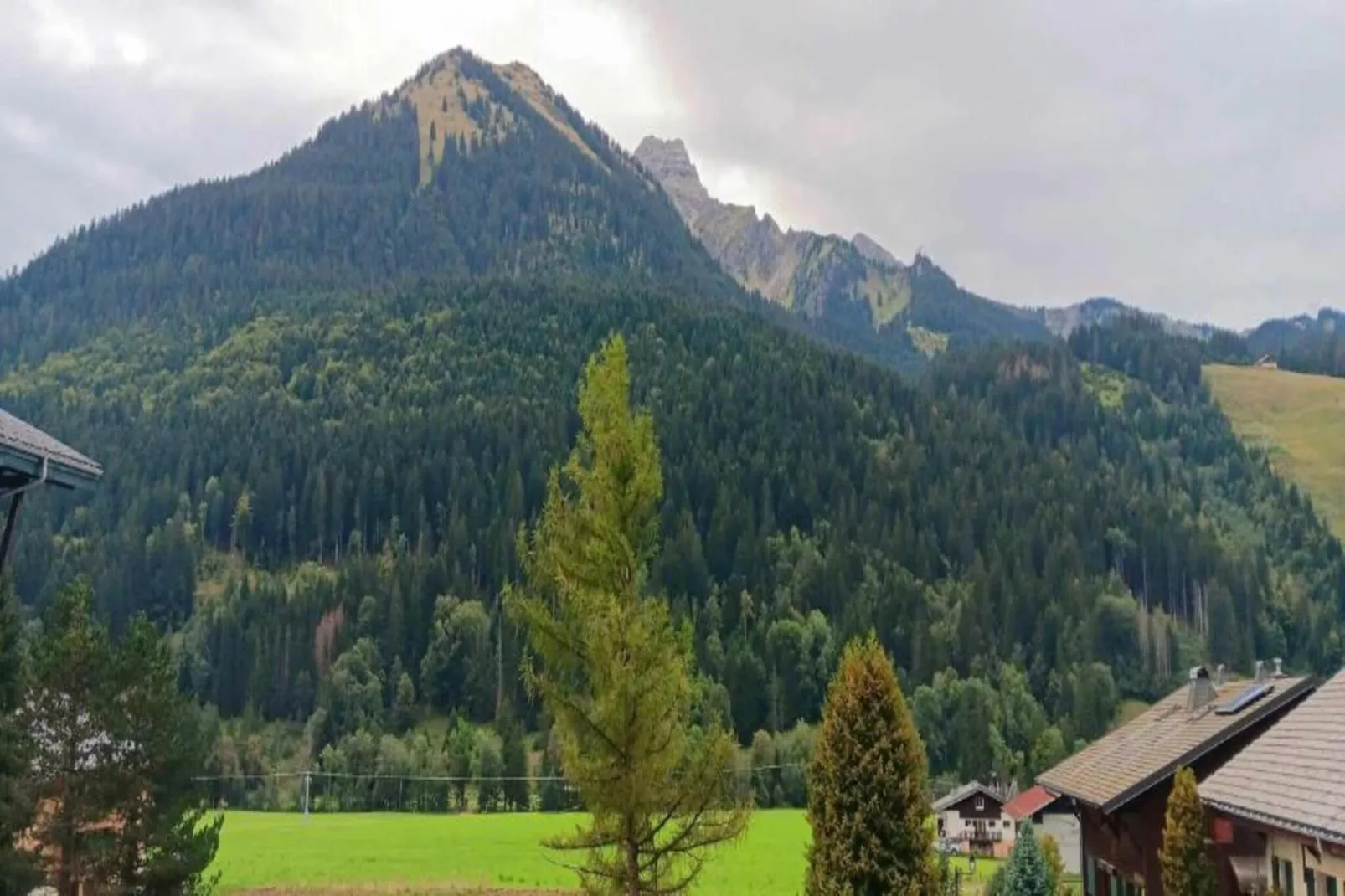Chalet Sherwood Forest-Gebieden zomer 20km