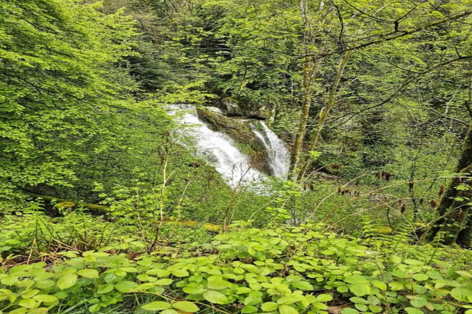 A l'Orée des Bois-Gebieden zomer 20km