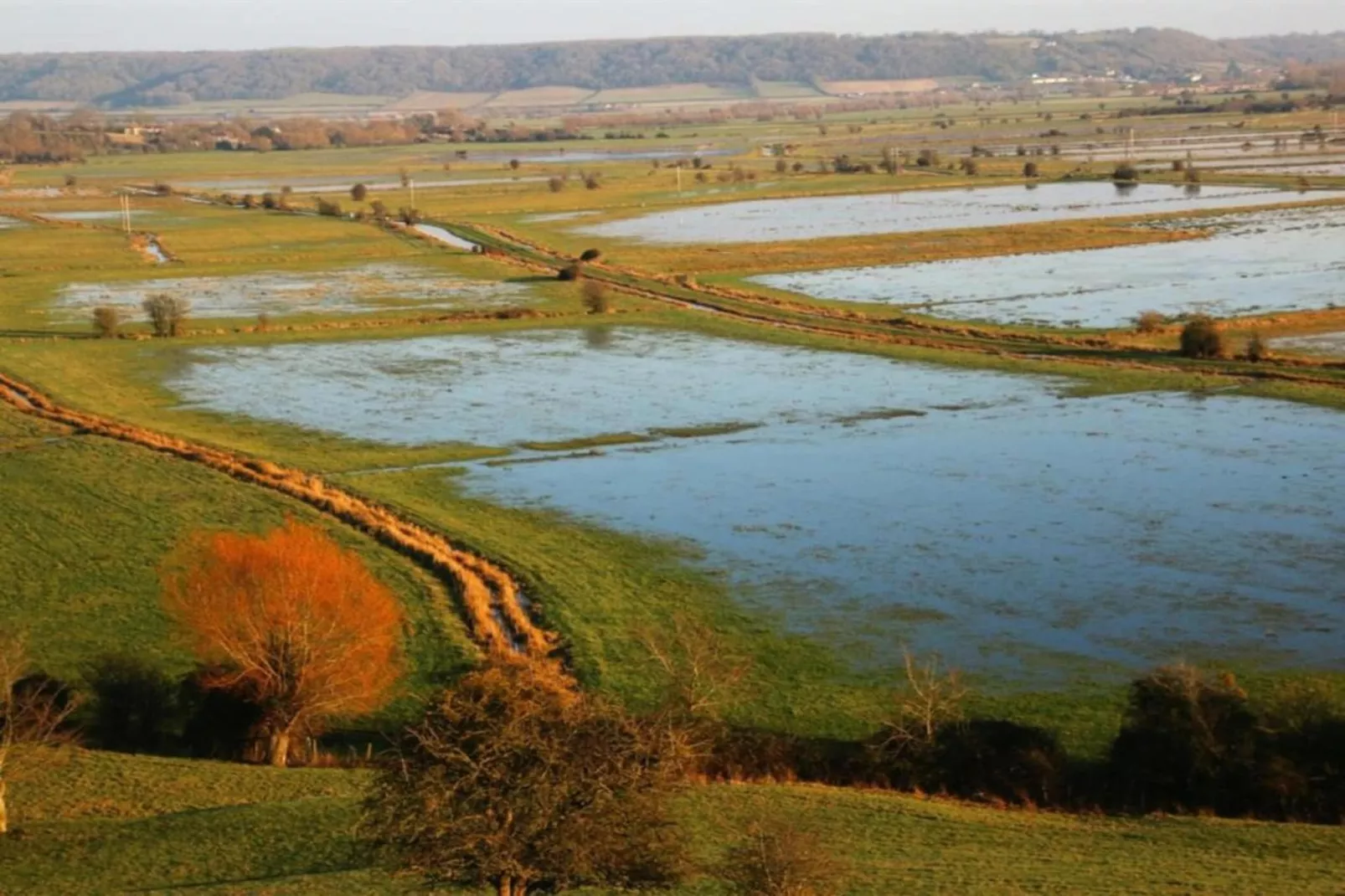 Higher House-Gebieden zomer 20km