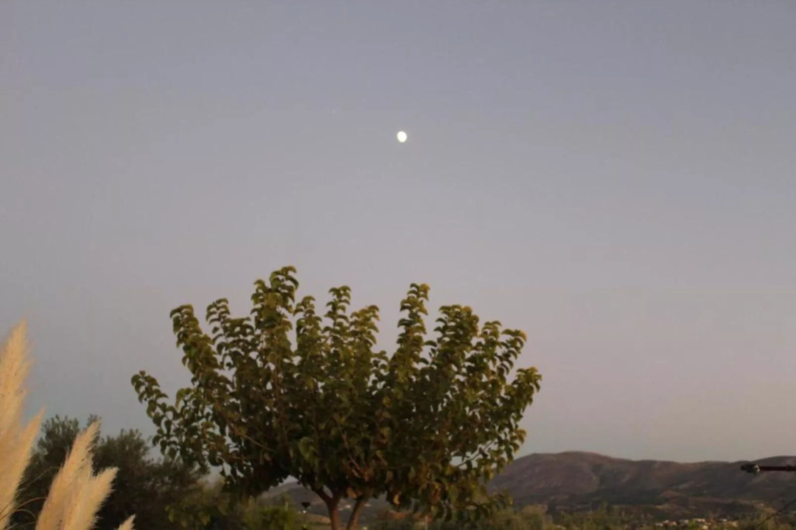 Orelia Cretan Villa II 4 persons-Gebieden zomer 20km